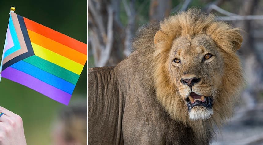 NBC's Bold Move for Pride Month - Documentary on 'Queer' Animals