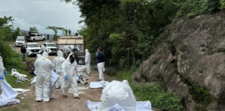 Horrifying Discovery: Police in Mexico Find 11 Bodies, Including 2 Minors, Abandoned by Highway